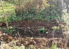 How to make biochar in a pit. Making Biochar To Improve Soil Mother Earth News