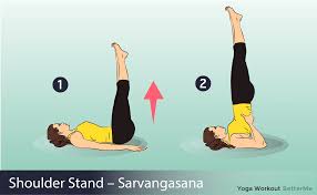 Credit Betterme Easy Yoga Yoga Poses Easy Yoga Poses