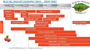 Crabapple Trees For Deer Blue Hill Wildlife Nursery