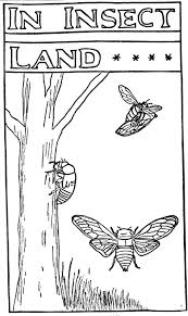 Download and print these free coloring pages. Color The Cicada And The Cicada Killer Wasp Cicada Mania