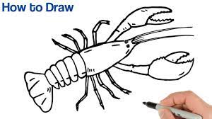 Vintage black and white lobster #1112545 by prawny vintage. How To Draw A Crayfish Easy Animals Drawings For Beginners Youtube
