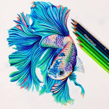 Realistic Animal Pencil Drawings Pencil Drawings Of Animals Fish Drawings Prismacolor Art