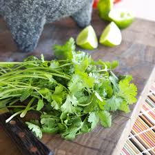 Coriander (seeds) or cilantro (fresh leaves) (coriandrum sativum) came to north america with the european colonists, but its history started much earlier. Everything You Need To Know About Growing Cilantro Kitchn