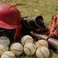 Southern Illinois Salukis at Bradley Braves Baseball