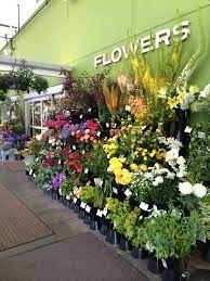 We did not find results for: Slow Flowers Podcast Grocery Floral With New Seasons Markets Katie Mcconahay And Seattle Wholesale Growers Market S Molly Sadowsky Episode 156 Debra Prinzing