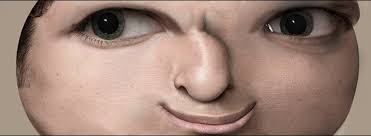 Like father, like daughter: Brigitte, the hero nobody can spell right. :  r/Overwatch