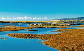 Kent has a wide range of places to stay with hotels, b&bs, luxury cottages, hostels, and cool campsites to suit any budget or group size. 9 Top Rated Attractions Things To Do In Rye England Planetware