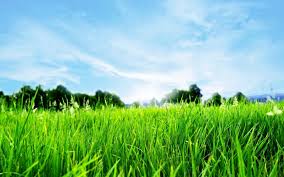 ✓ free for commercial use ✓ high quality images. 25 Nature Wallpaper Hd Png Basty Wallpaper