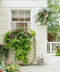 Perfect Shade Plants For Windows Boxes 2 Fensterbox Blumen Herbst Kasten Gartencontainer