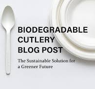 Understanding Bagasse Tableware: Eco-Friendly, Sustainable ...
