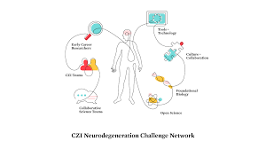 A New Approach To Solving Neurodegeneration By Chan Zuckerberg Science Initiative Medium