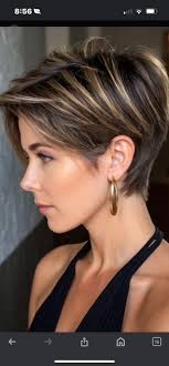 Who is a good hairstylist for pixie cuts in Palm Harbor, Florida?