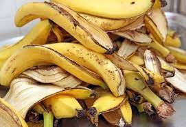 Besides many other useful banana peel uses in the garden, this dried banana peel fertilizer is one of the best. Make This Simple Organic Banana Peel Fertilizer For A Healthy Garden