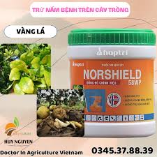 Norshield 58WP