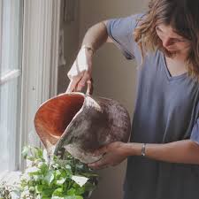 How to grow your own urban garden. Building Your Own Urban Garden At Home Producers Stories