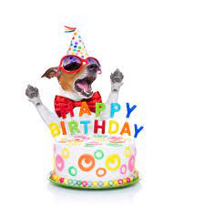 Dog lover pets paw add a name happy birthday card. Absolutely Awesome Birthday Wishes For Your Dog The Write Greeting