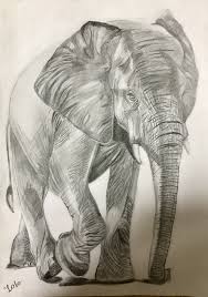 Pin By Alaa Khaled On My Hand Drawings Sketches Animals How To Draw Hands