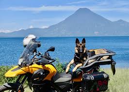 This pet carrier for motorcycle is a premium pet carrier. Have Your Dog And Ride With Her Too Rider Magazine
