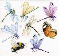 Dragonfly Individual Png Bumble Bee Butterfly Summer Clipart Insect Png Hand Painted Clip Art Summer Clipart Bumble Bee Illustration Bee