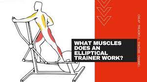 Maybe you would like to learn more about one of these? The Benefits Of Elliptical Trainers What Muscles Does An Elliptical Trainer Work Youtube