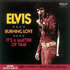 Music, movies, personal style and accomplishments, and many of them are related to elvis week events and guests. Burning Love Wikipedia