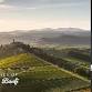 Tasting Class: Wines from Italian Producer, Banfi event image
