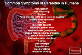 What Type Of Parasites Do You Have Parasites Symptoms Skin Parasites Parasite