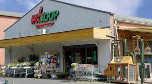 A little town in the netherlands where people are normal compared to the rest of the world. Welkoop Kollum Adres Openingstijden En Activiteiten