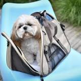 Sac de transport chien semi rigide - doogy.fr