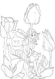 More than 600 free online coloring pages for kids: 40 Coloring Pages Of Fairies On Kids N Fun Co Uk Op Kids N Fun Vind Je Altijd De Leukste Kleurplaten Het Eerst Ausmalbilder Lustige Malvorlagen Ausmalen