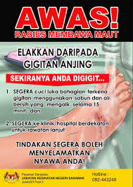 Gejala yang terjadi biasanya adalah demam, sakit kepala, nyeri otot, muntah, dan pada akhirnya akan mengakibatkan peradangan hati, rusaknya ginjal, serta turunnya jumlahtrombosit secara drastis. Risalah Rabies