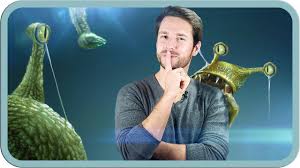 Weitere 313 sterne haben die erdtransitzone schon wieder verlassen, 319 werden erst in der zukunft in den genuss des erdblicks kommen. Das Passiert Wenn Wir Aliens Finden Oder Sie Uns Youtube