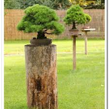 Since july 30, 1992 was opened bonsai park energetic garden, world celebrities and the press have repeatedly recognized it as the most beautiful garden in the world. starting in 1968 to develop a wasteland overgrown with prickly bushes, the author hoped to revive the culture of gardening and korean bonsai. Photos At Baltic Bonsai Park Park