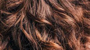 das solltest du uber haare wissen quarks de