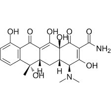 Tetracycline Gram Negative Bacteria Positivity Broad Spectrum