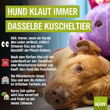 Check spelling or type a new query. N Joy Happy End Fur Sisu Und Sein Einhorn Facebook