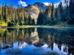 Image result for Turquoise 1983 Caloric