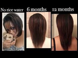 African American Biotin Hair Growth Before And After Pictures How I Repaired My Damaged Hair With Rice Water 1 Year Hair Growth Youtube 1 Year Hair Growth Hair Growth Diy Damaged Hair