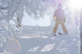 For beginner ski and snowboard families, planning a trip to the ski slopes can be a daunting task. What Is A Powder Ski Nozawa Holidays