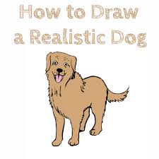 Kid game to develop drawing skill with easy gaming level. How To Draw A Realistic Dog How To Draw Easy