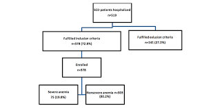 Enrolment Flow Chart Scd Sickle Cell Disease Download