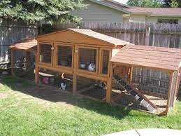 See full list on wikihow.com How To Build The Perfect Bunny Hutch Pethelpful