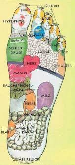 Our Popular Recipe For Kasseler In Honey Mustard Cream And More Than 55 000 White Our Popular Recipe For Kassele In 2020 With Images Honey Mustard Popular Recipes Free Food