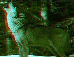 Lone Wolf Kurt