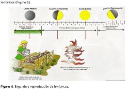 A short summary of this paper. El Libro De La Luna Para Descargar Gratis