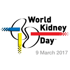 In the right column you will find downloads of different sizes of this image and different languages. World Kidney Day March 9 2017 Kidney Disease Obesity