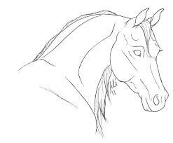 Learn how to draw a horse in a simple and interactive way! Drawing Mustang Face Picture 1366213 D 1695847 Png Images Pngio