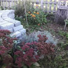 Pin Auf Lazy Gardening Gartnern Fur Faule