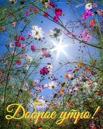 я люблю дождь я люблю солнце и тебя я люблю Pin Ot Polzovatelya Ddµnd D Nd D D D Na Doske Dobroe Utro V 2020 G Raduzhnye Rozy Dobroe Utro Pozdravitelnye Otkrytki
