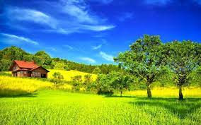 The Most Beautiful Scenery In The World Google Search Beautiful Nature Wallpaper Field Wallpaper Beautiful Nature